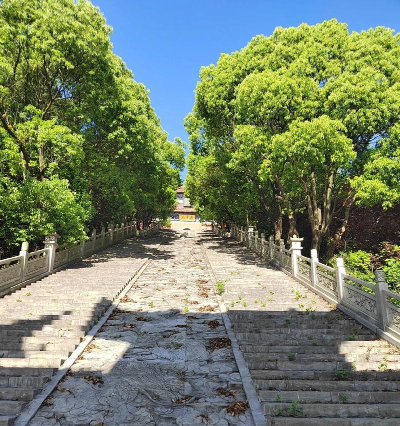 保卫萝卜4第9关攻略图解——轻松过关（怎样通过第9关，拿下第一汤的胜利？攻略一览）