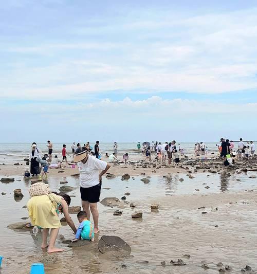 日照赶海攻略（掌握赶海技巧，畅享海滩乐趣）