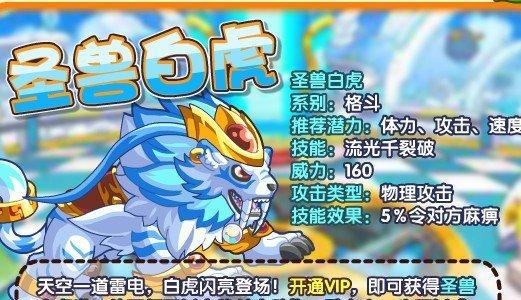 天使之战群体技能加点攻略（掌握技能加点要诀，提升天使之战团队实力）