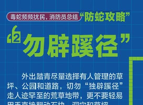 黑豹出装攻略（绝对霸主的装备选择和技能提升秘籍！）