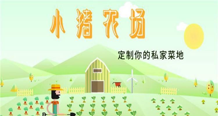 《小猪农场手游攻略》（成为农场主，打造最美农场！）